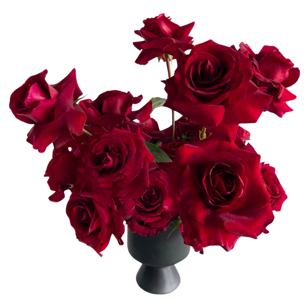24 Roses