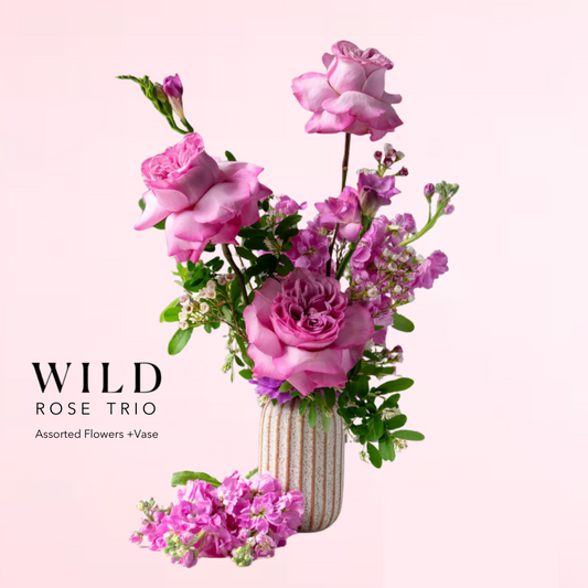 Pick your rose count and your rose color and we will add a mix of assorted flowers and greens with a cute ceramic vase.